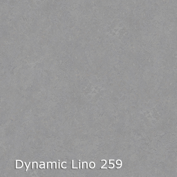 Interfloor Vinyl Dynamic Lino €19.95